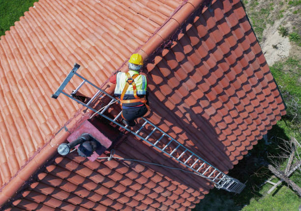 Emergency Roof Repair in Paris, TX